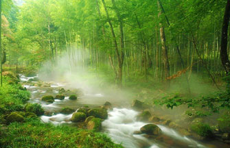 Spectacular scenery of Mount Huangshan after rain