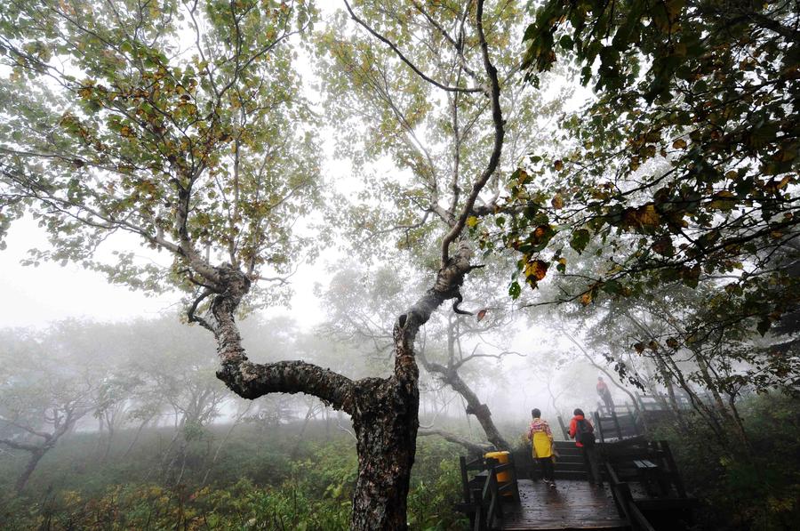 Beautiful scenery of Fenghuang Mountain