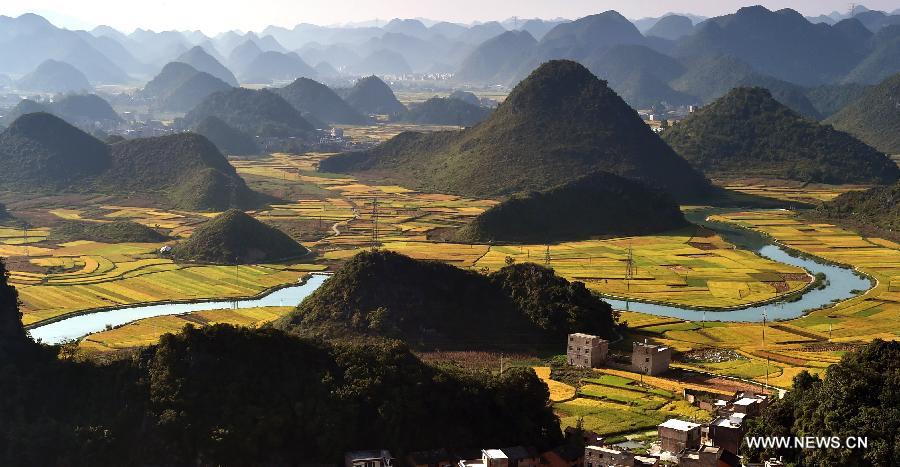 Scenery of rice fields in SW China's Yunnan