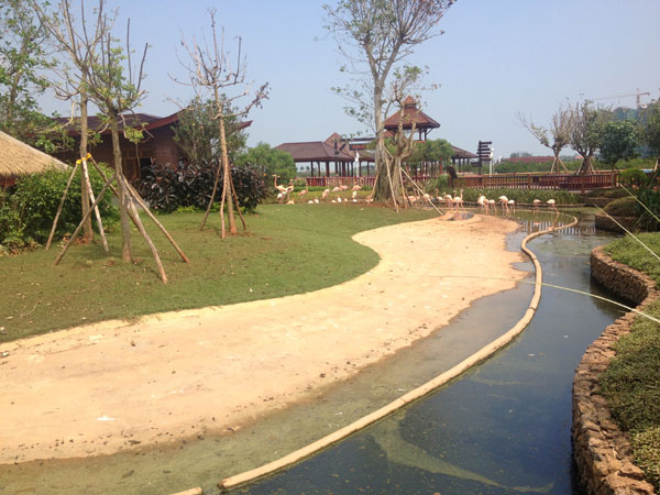 Mangrove Bay Wetland in Hainan will open in October