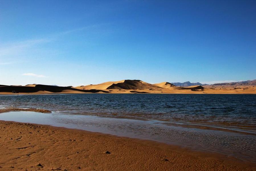 Beautiful 'Golden Sea' in Qinghai