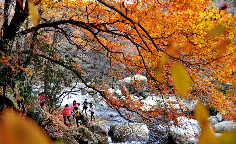 Yunwu Mountain in late autumn
