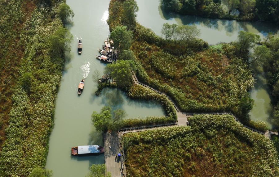 Autumn Scenery In Xixi Wetland[1] Cn