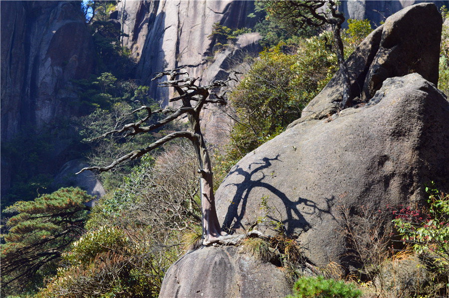 Exceptional scenery of Mount Sanqingshan