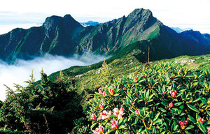Exceptional scenery of Mount Sanqingshan
