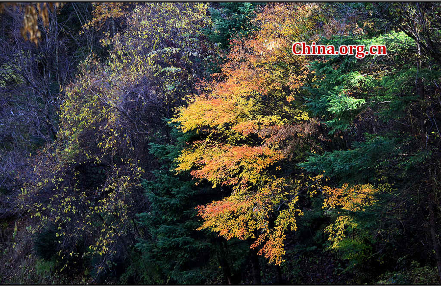 Enchanting autumn scenery of Jiuzhaigou