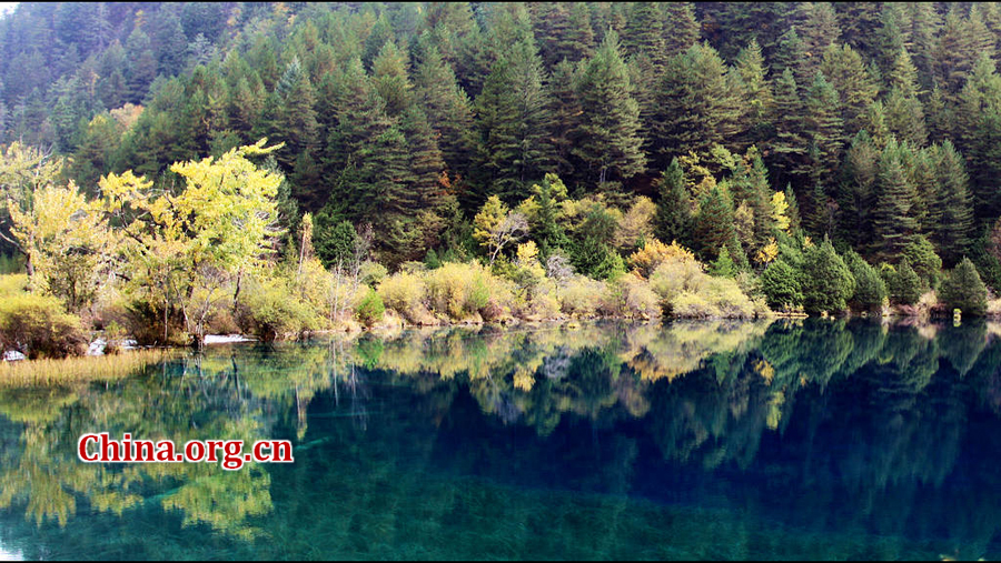 Enchanting autumn scenery of Jiuzhaigou