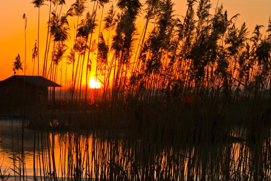 Picturesque Zhangye National Wetland Park