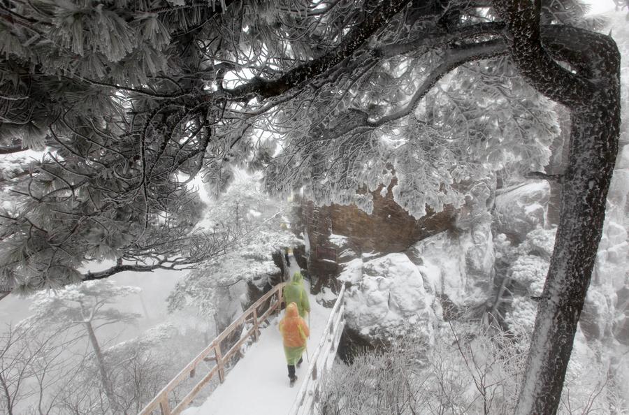 Snow scenery of Huangshan Mountain