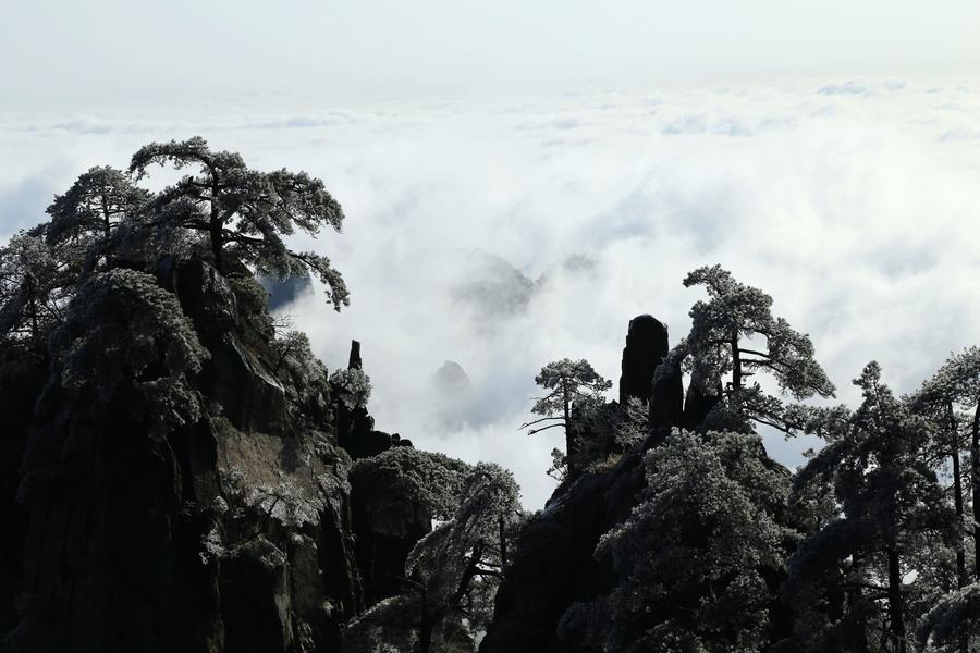 Snow scenery of Huangshan Mountain