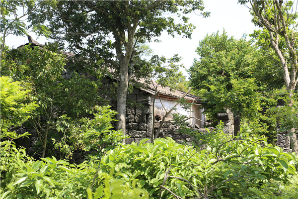 Ancient Sanqing village, a volcanic wonder in Haikou