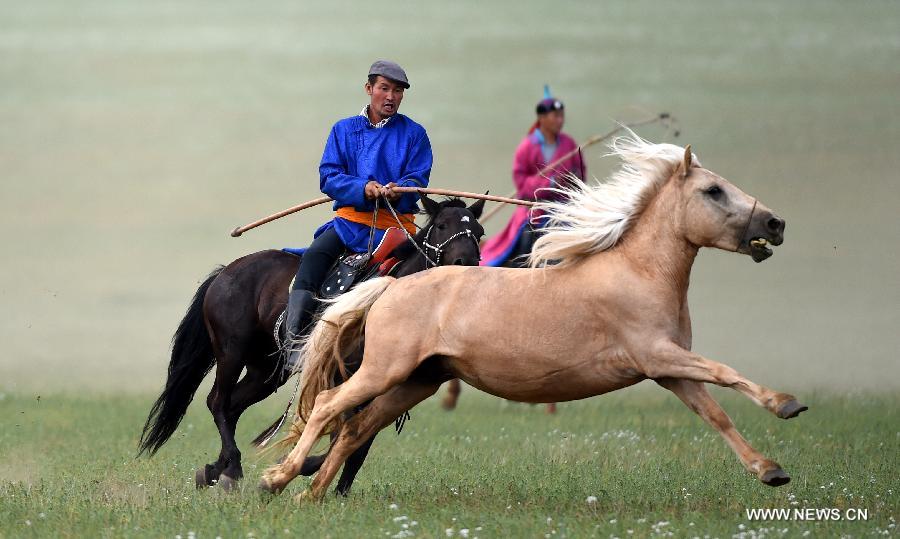 Herdsmen lasso horses during competition in Inner Mongolia