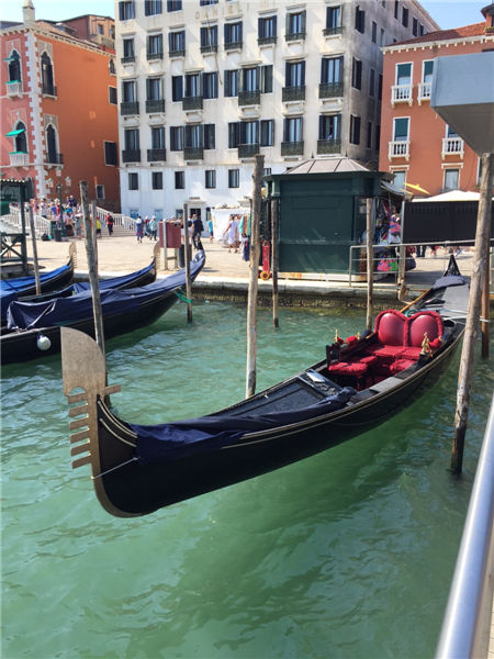 Vibrant Venice's wondrous waterways
