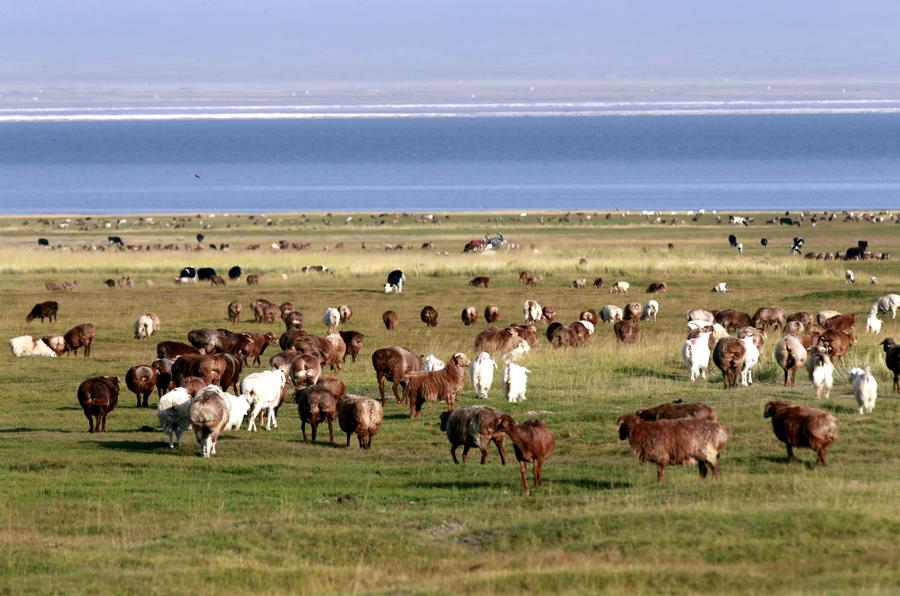Picturesque Barkol grassland in Xinjiang