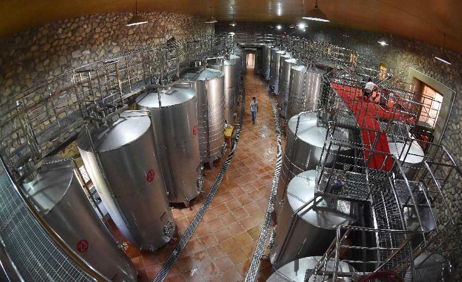 Chateau-featured Helan Mountain attracts tourists