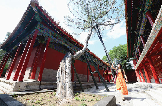 Behind the veil of the Forbidden City's imperial harem