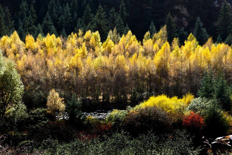 Qilian Mountains, ideal place for an autumn excursion