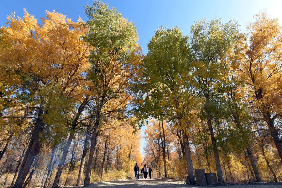 Autumn scenery of Badain Jaran Desert