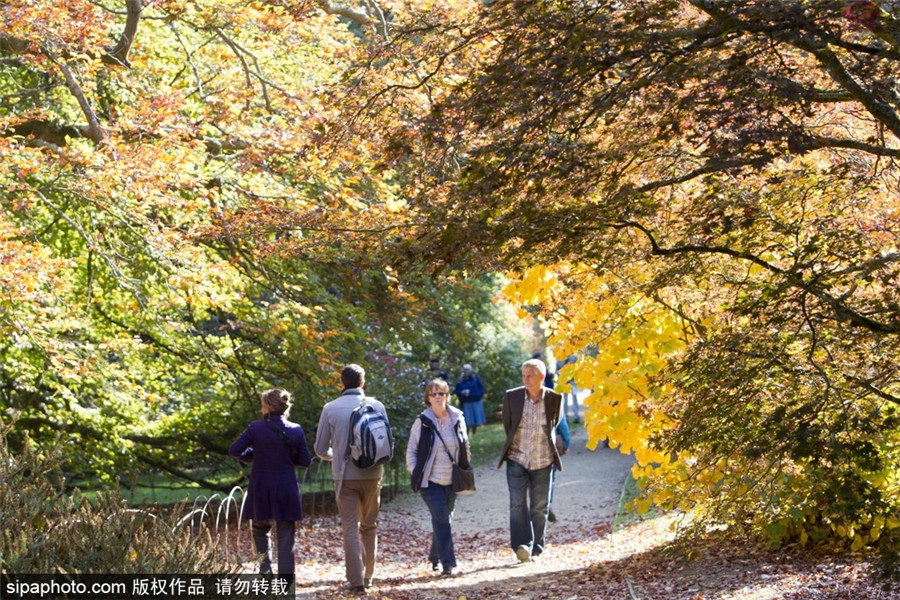 Autumn sees a myriad of colors across Britain