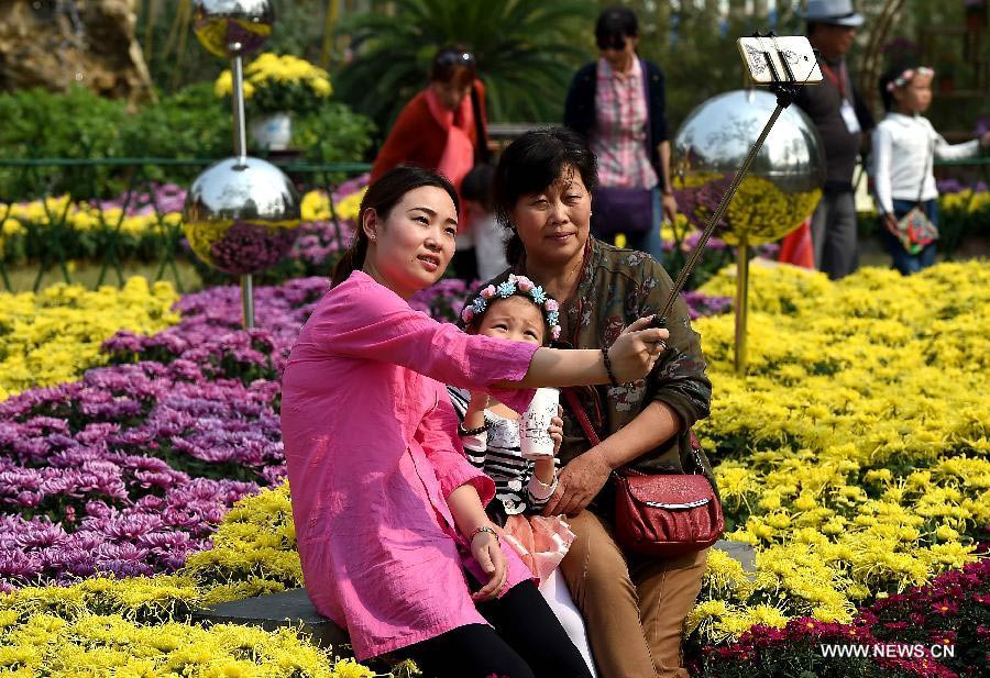 Chrysanthemums burst into bloom in Kaifeng