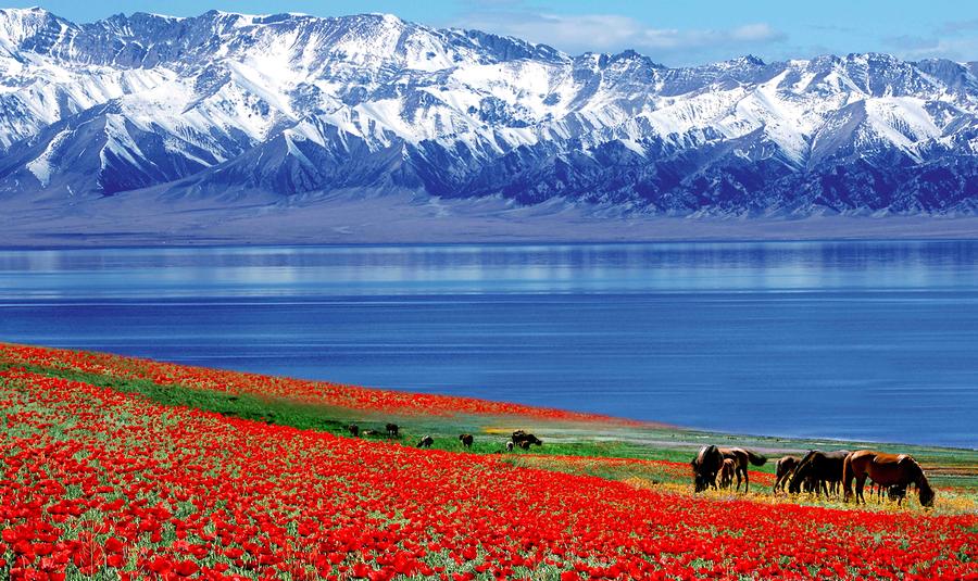 Breathtaking scenery of China's Xinjiang