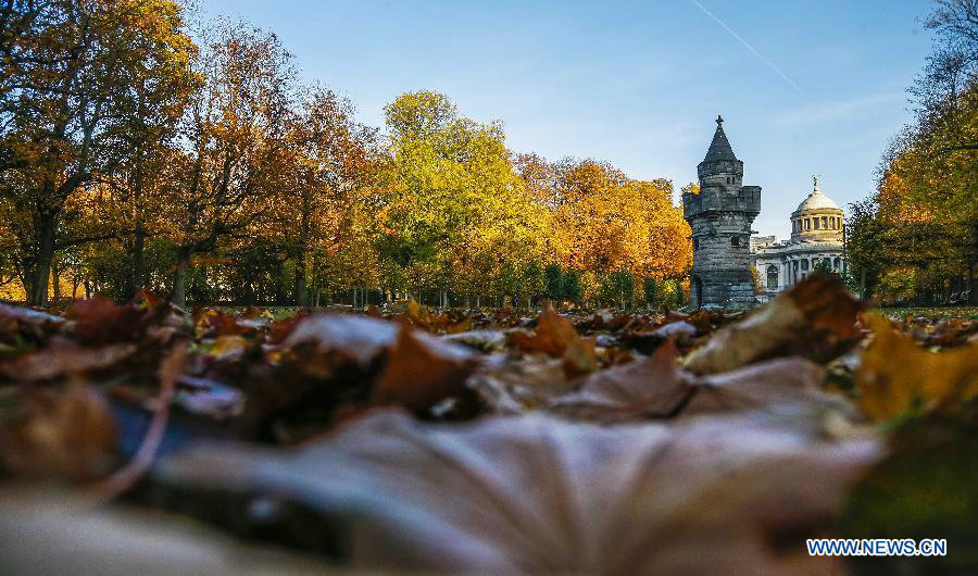 Time for embracing fall in Brussels