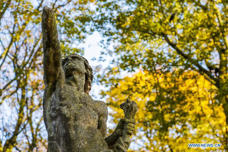 Time for embracing fall in Brussels