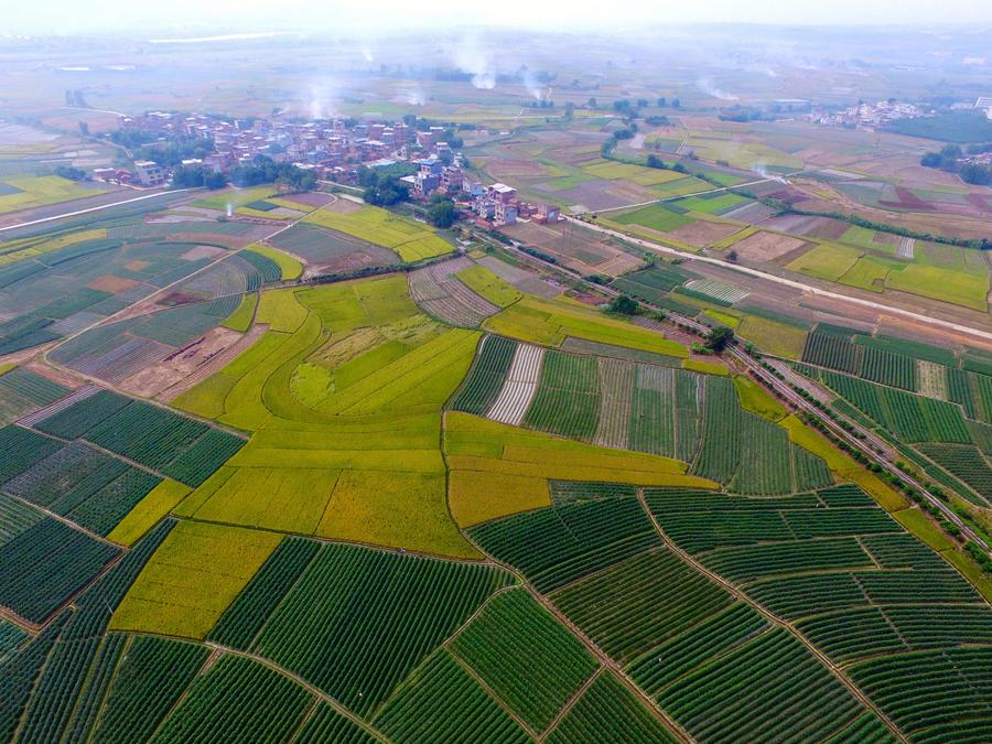 Bird's-eye view of farmlands in Guangxi
