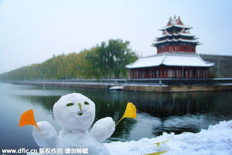 Shrouded in heavy snowfall, Palace Museum greets a good many visitors