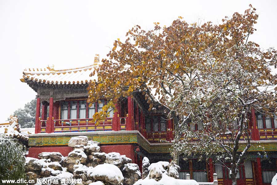 Shrouded in heavy snowfall, Palace Museum greets a good many visitors