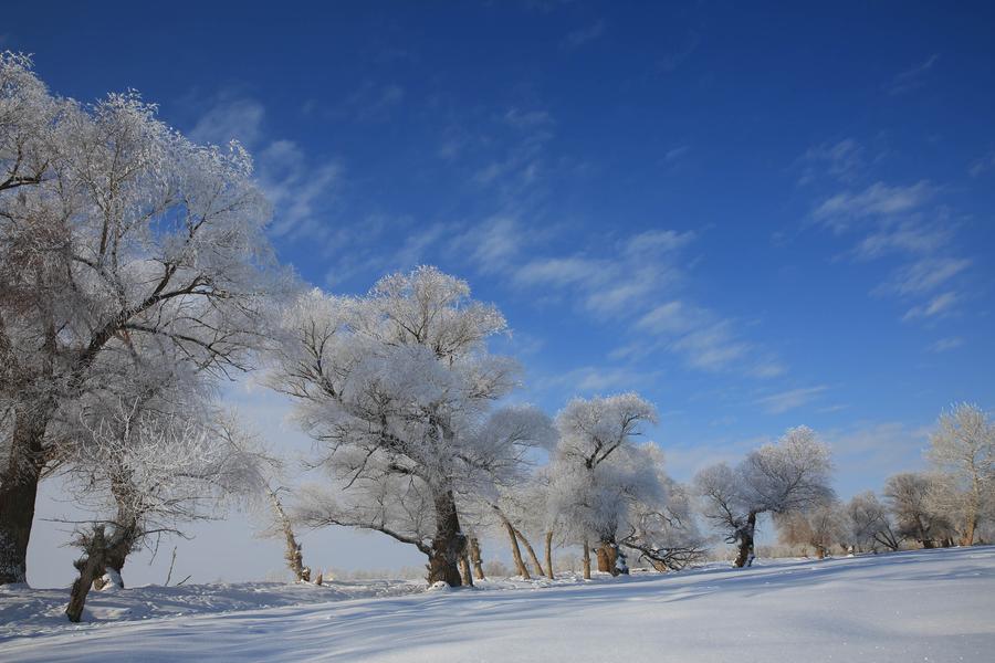 Rime scenery seen in Xinjiang's Altay