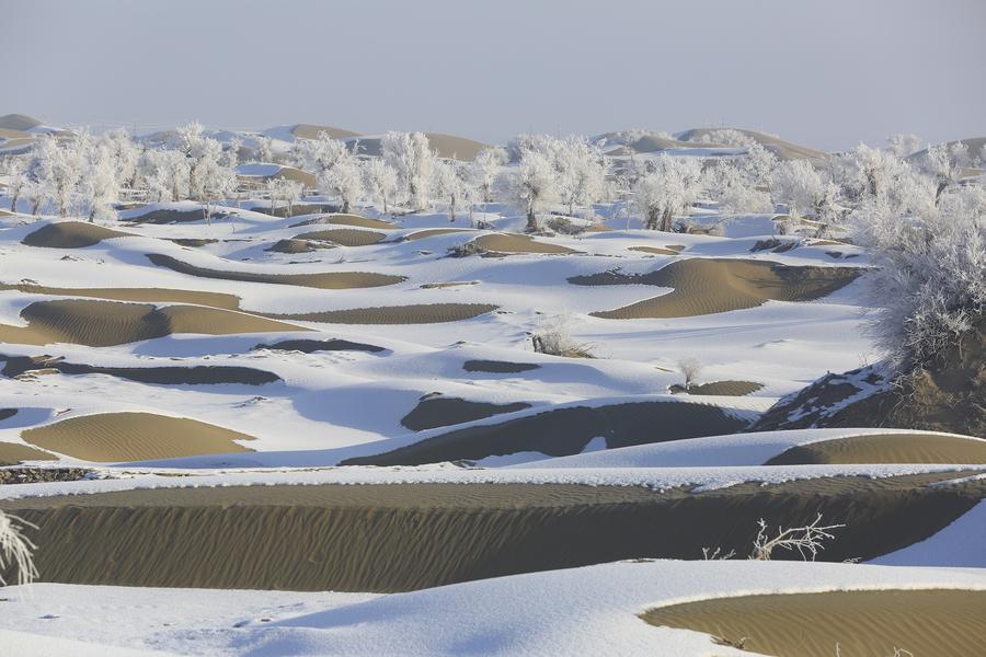 Rime scenery in Taklimakan Desert, NW China's Xinjiang