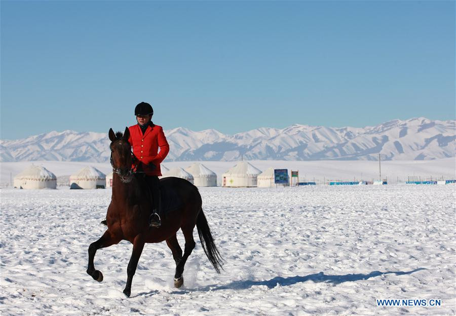 Zhaosu county: 'Hometown of Pegasus' in Northwest China's Xinjiang