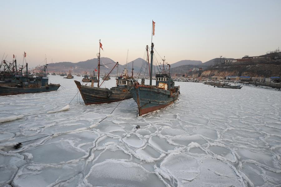 Sea ice appears around Yantai sea area