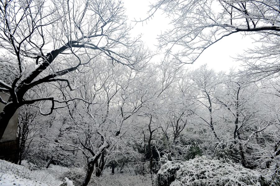 Snow scenery on Huqiu Mountain in Suzhou