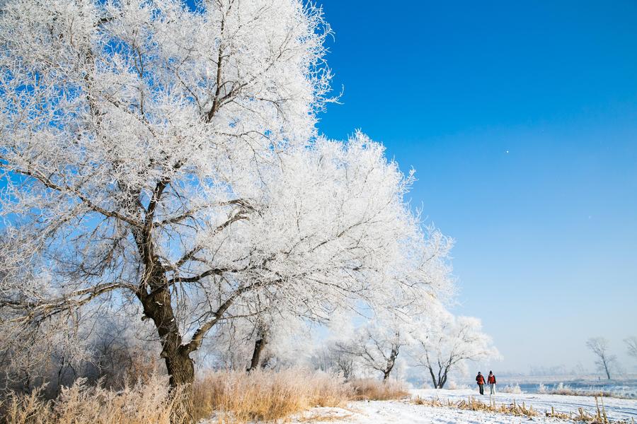 Rime scenery seen in NE China's Jilin