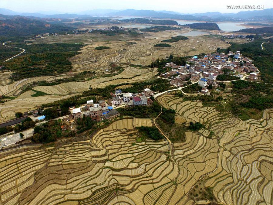 Aerial view of watermelon terraces in S China's Baise