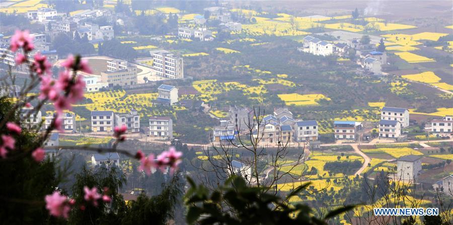 Spring scenery in C China