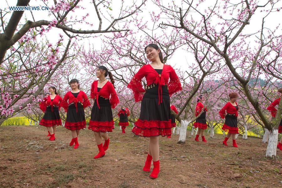 Peach blossom field attracts visitors in Sichuan province