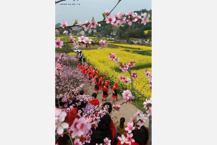 Peach blossom field attracts visitors in Sichuan province
