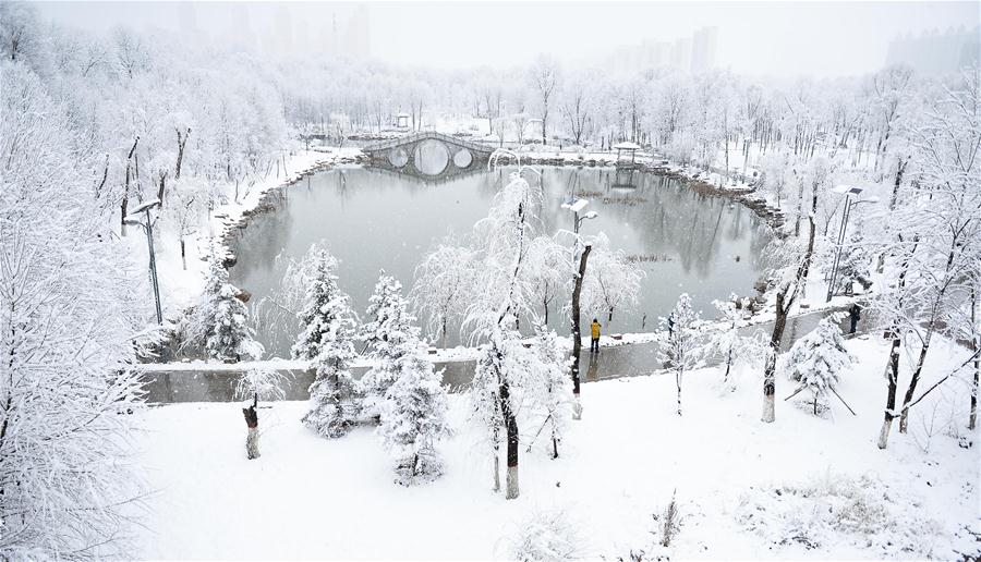 Snowfall hits most parts of Qinghai in NW China