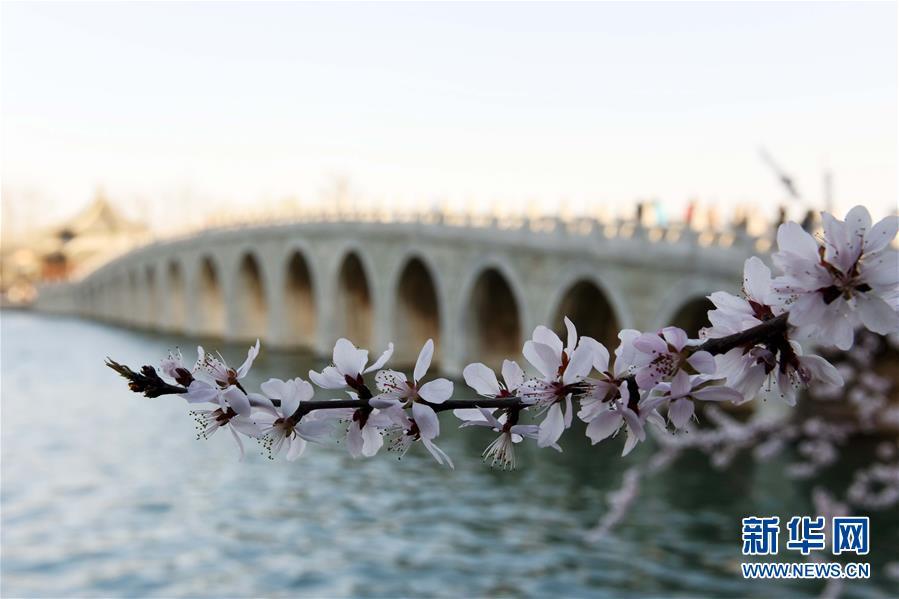 Spring scenery of Summer Palace in Beijing