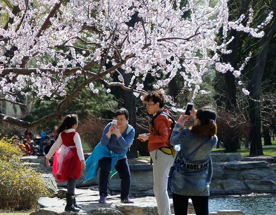 Summer Palace embraces spring