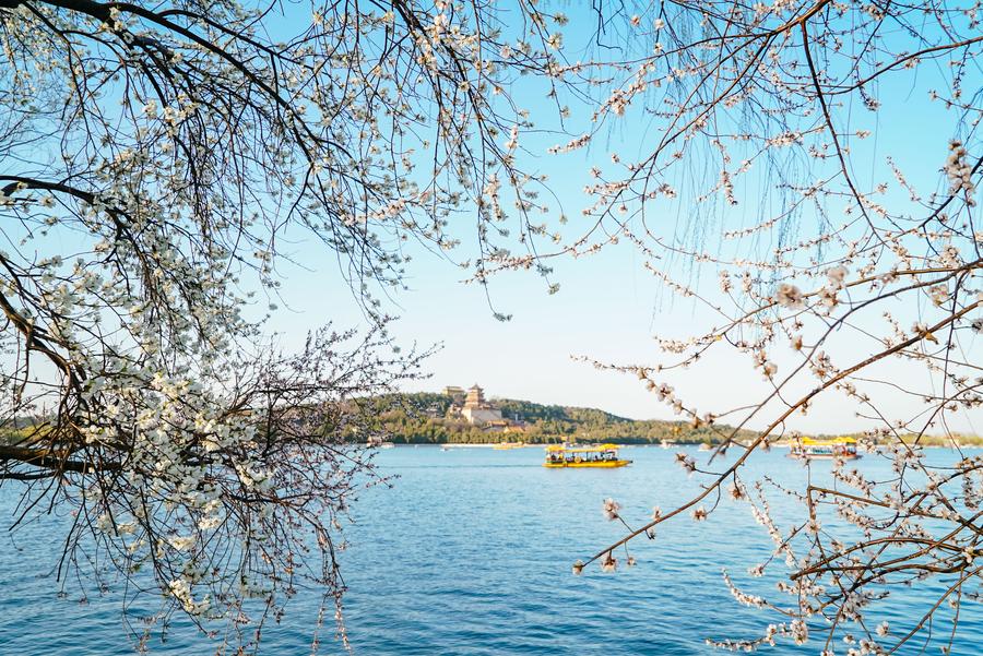 Summer Palace embraces spring