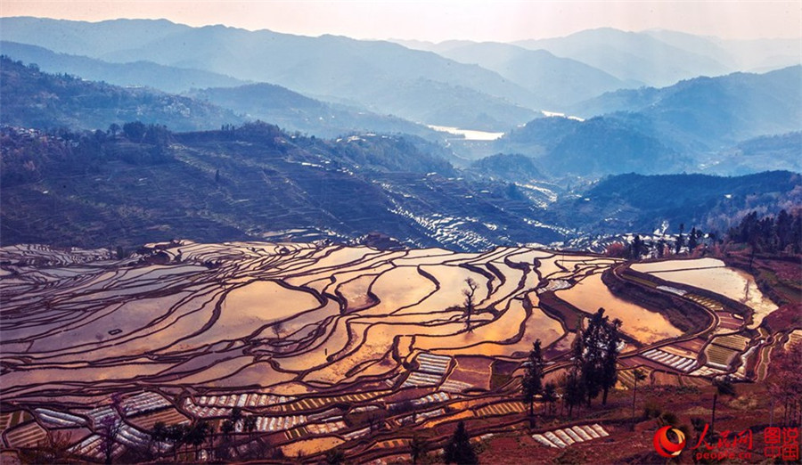 Magnificent view of Hani terraced fields in SW China
