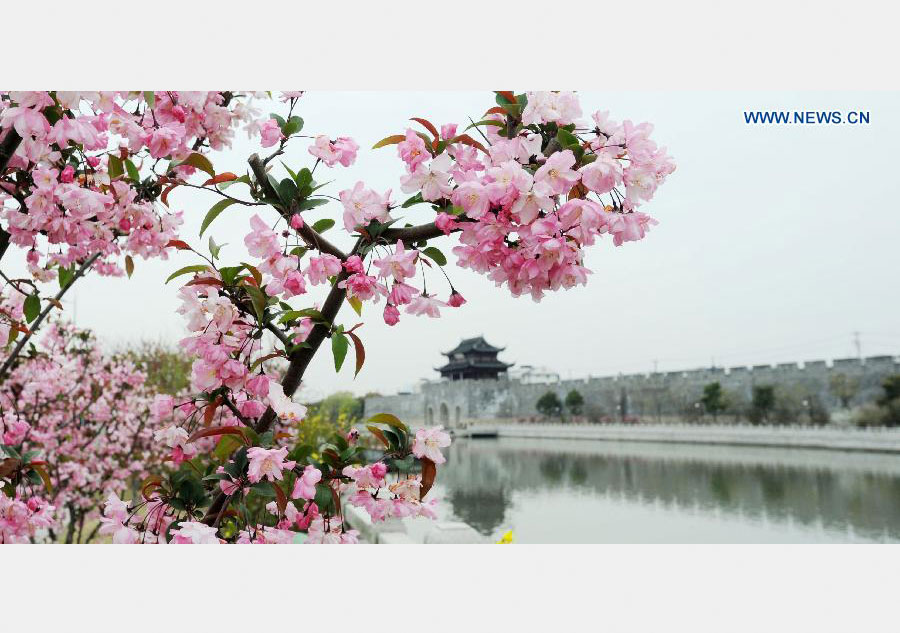 In pics: Spring sceneries across China