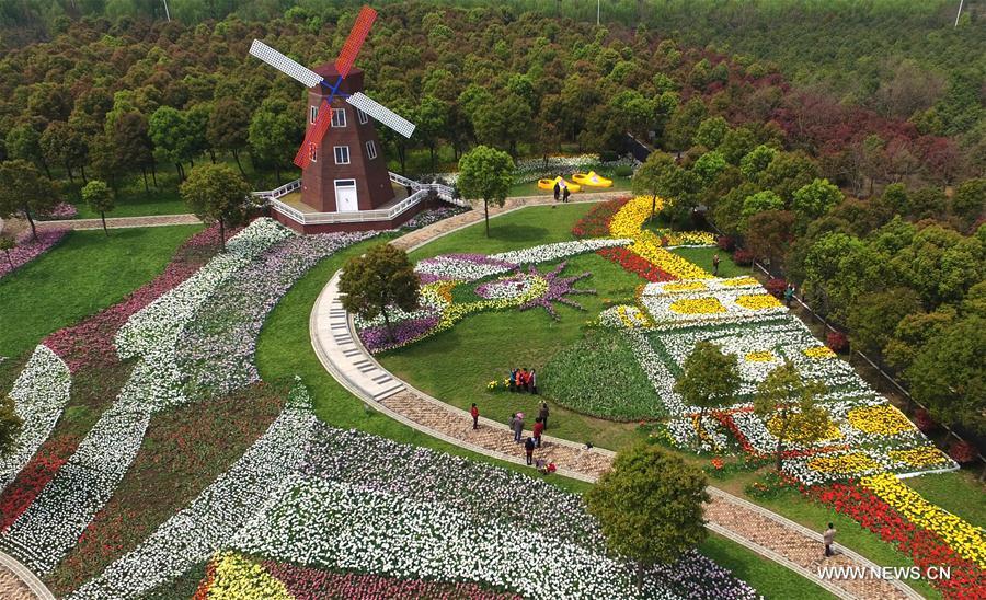 Scenery of Dongxi Lake Tulip Park in Hubei