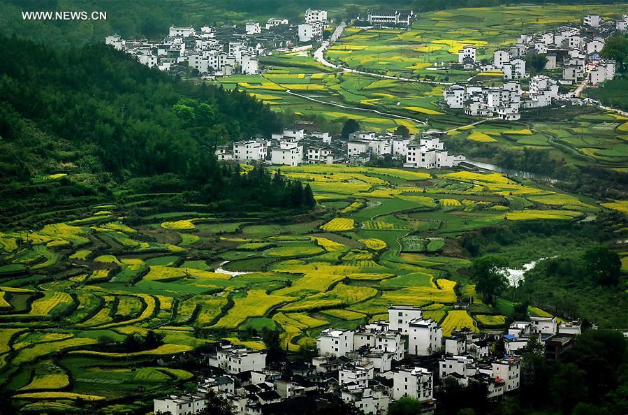 China perfects art of building terraced fields