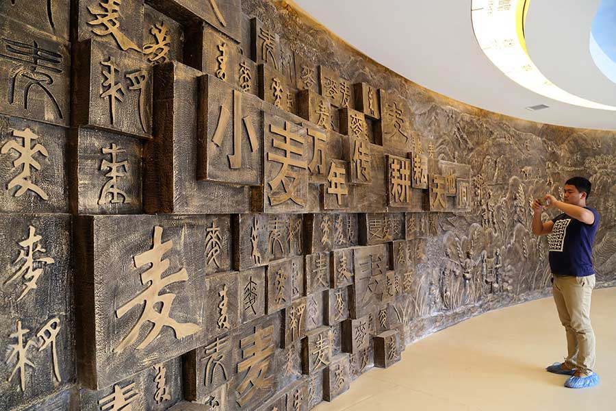 First wheat museum opens in Henan province