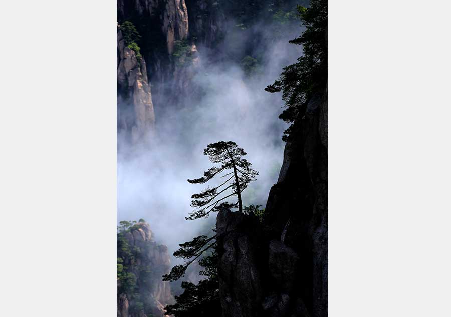 The ethereal clouds of Mount Huangshan